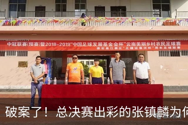 破案了！总决赛出彩的张镇麟为何无缘21人名单？名记道出2原因